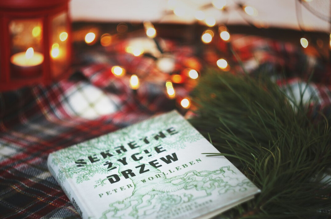 polish folklore book